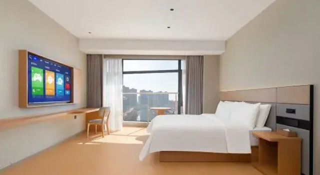 Люкс Deluxe Vienna Hotel (Zhumadian Xiping Guesthouse)