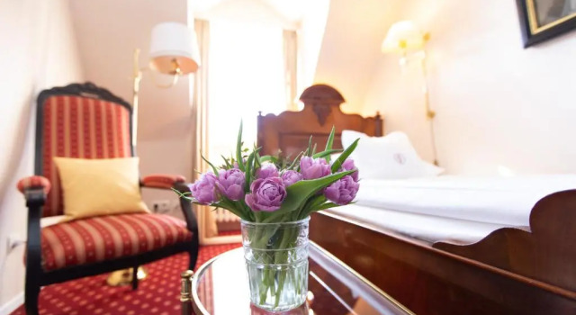 Одноместный номер Standard Romantik Parkhotel Wasserburg Anholt