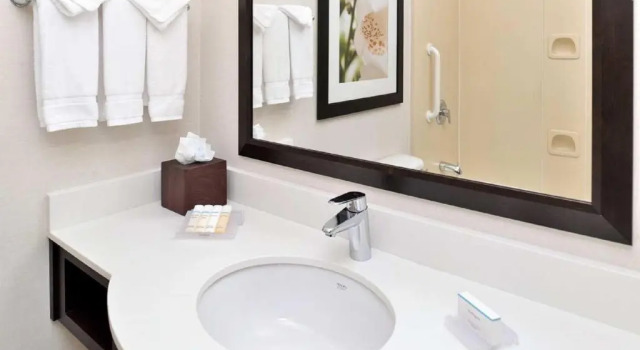 Люкс Hilton Garden Inn Addison