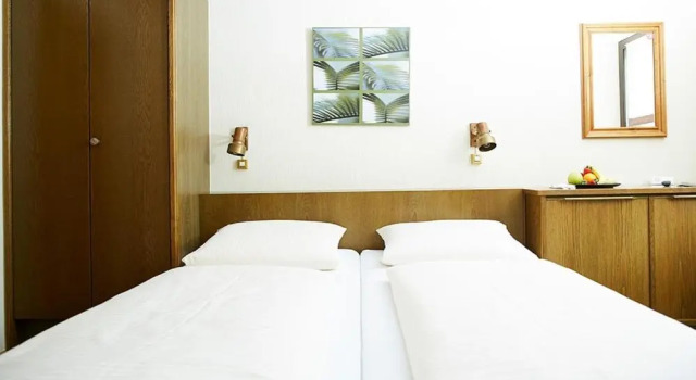 Двухместный номер Standard Hotel Landgasthof Wallburg