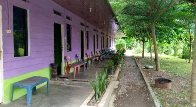 Jungle Tribe Guesthouse, Réserver Hôtel Gotong Royong Indonésie