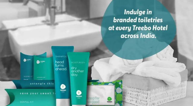 Номер Standard Treebo Blue Moon Powai