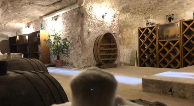 Апартаменты Vino Apartman