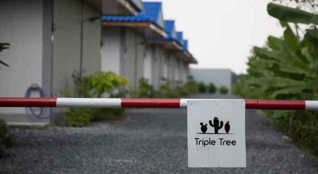 Двухместный номер Standard Triple Tree Resort
