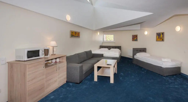 Студия Tauras Center Hotel