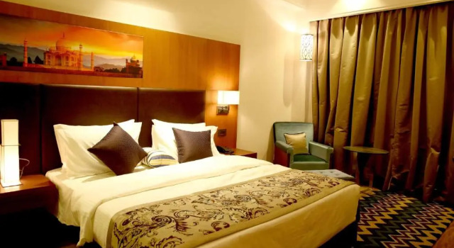 Номер Standard The P L Palace Agra