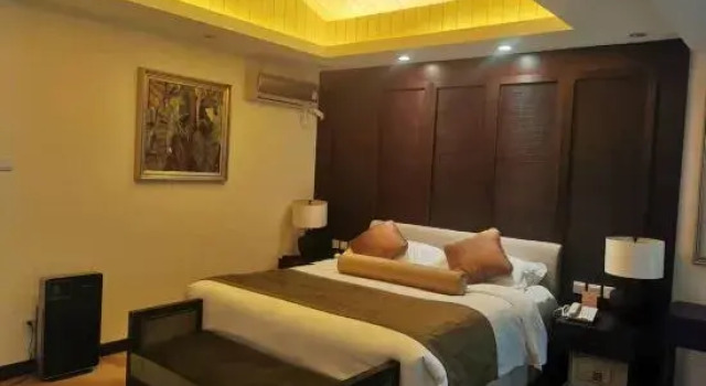 Люкс Zhongjia Palace Hot Spring Hotel