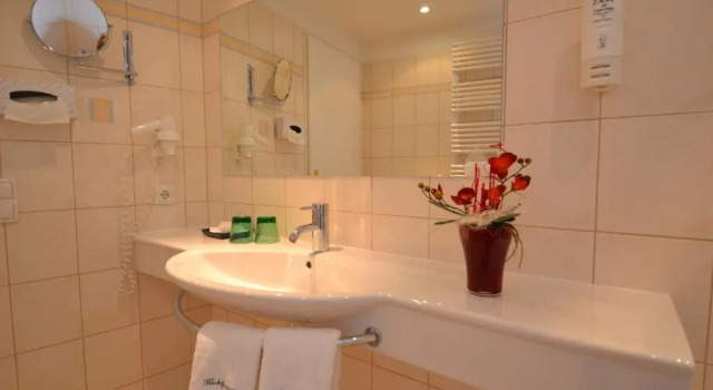 Одноместный номер Standard Hotel Kohlpeter