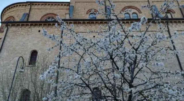 B&B Airport Bergamo, Buchen Sie Bed & Breakfast Mozzo Provinz Bergamo