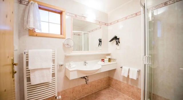 Двухместный номер Standard Bärenhotel