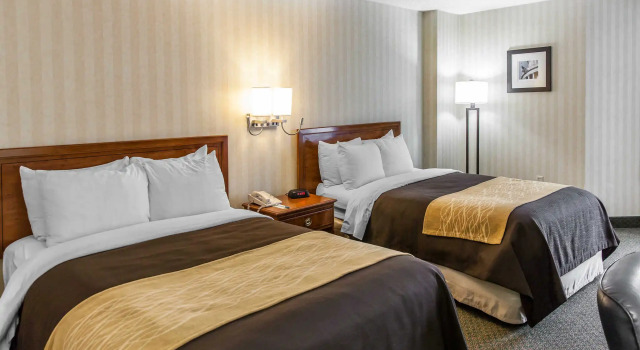 Двухместный номер Standard Comfort Inn Pentagon City