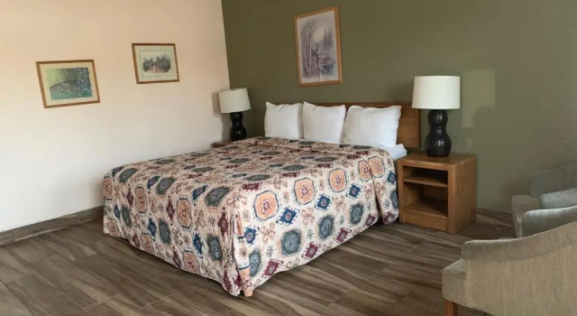 Номер Standard Mountain View Motel