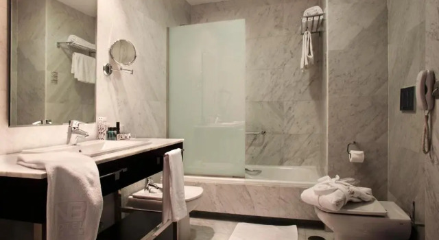 Двухместный номер Executive Hotel Nuevo Boston