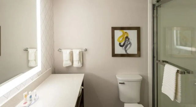 Номер Standard Comfort Inn & Suites Fishers - Indianapolis