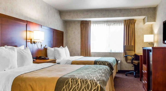 Четырёхместный номер Standard Comfort Inn Watsonville