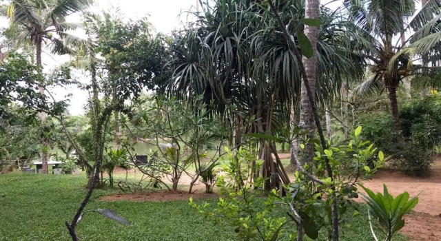 Номер Standard O2 Villas-Weligama
