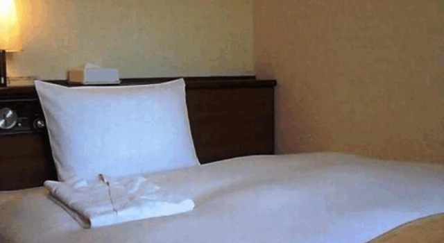 Одноместный номер Standard Chisun Hotel Hamamatsucho