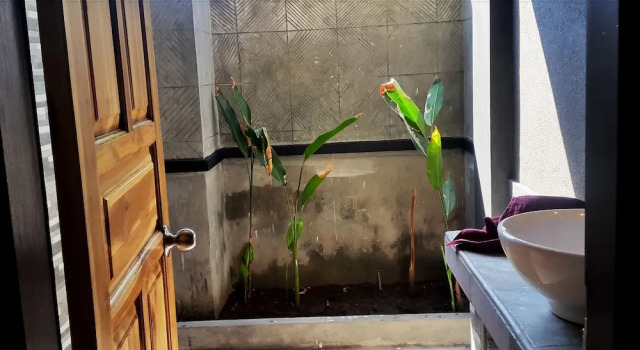 Номер Standard Doubleyou Homestay Pemuteran