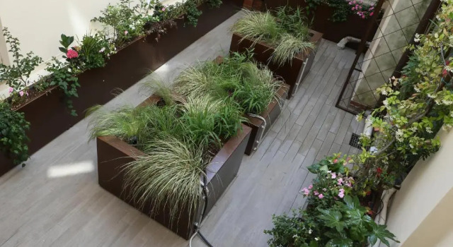 Номер Economy Hotel Vittorio