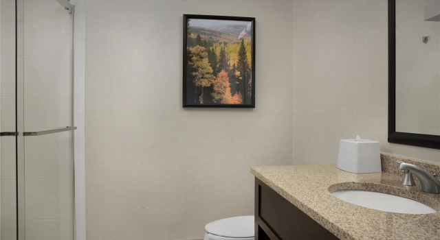 Номер Standard Hampton Inn & Suites Denver Tech Center