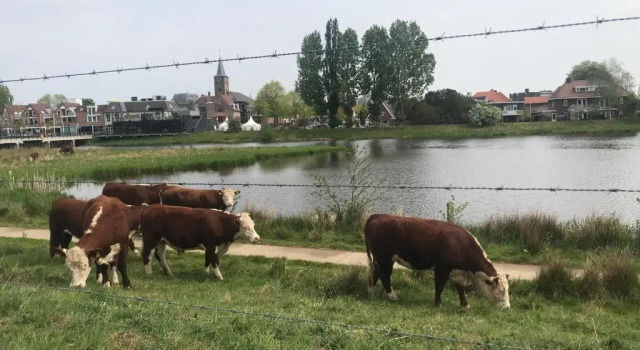 Апартаменты Superior B&B Tussen Vecht en Veer