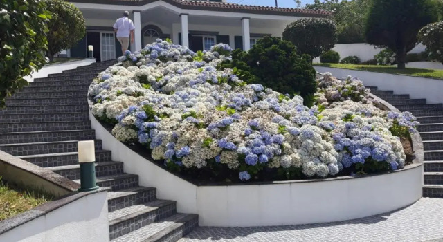 Коттедж Ramal House