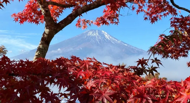 Студия Fuji Yamanakako Resort Hotel - Vacation STAY 03068v