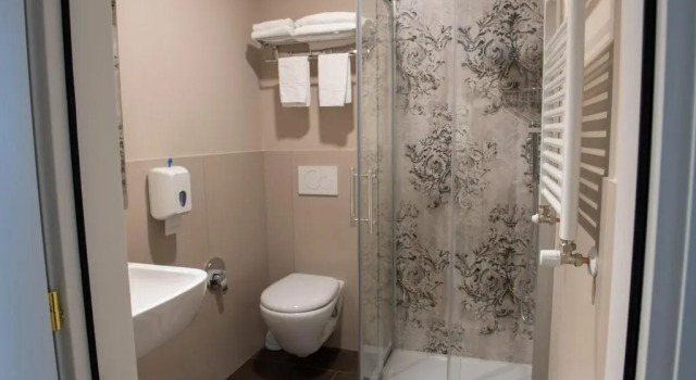 Трёхместный номер Standard Hotel Della Rosa