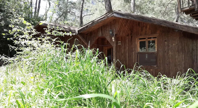 Altaris Bungalows Olympos, Забронировать Отель Отели провинции Антальи с парковкой, Парковка