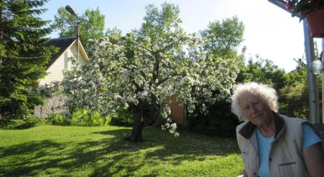 Номер Standard Käspri Farmstay