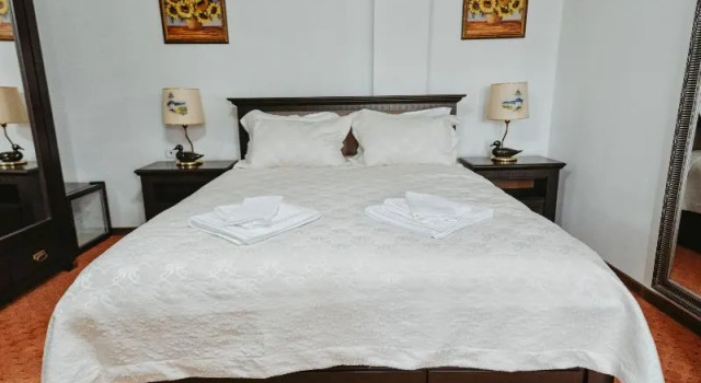Двухместный номер Deluxe Complex Turistic Constantin Bucovina
