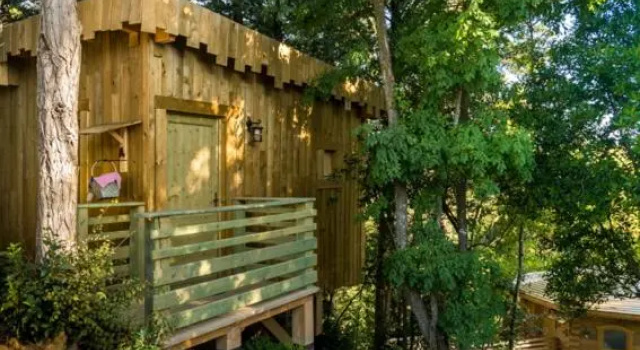 Кровать в общем номере Les Cabanes Dans Les Bois Logis Hôtel