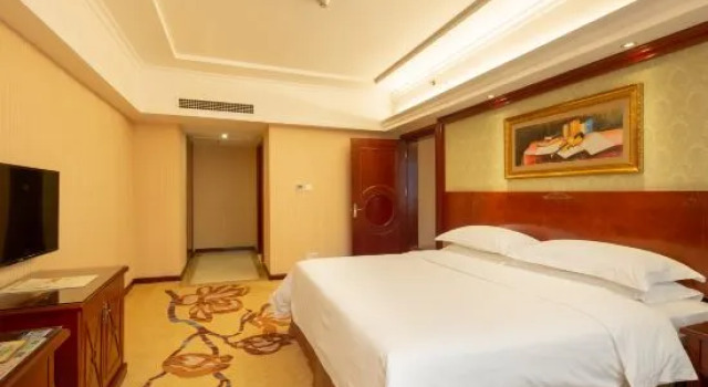 Люкс Deluxe Vienna Hotel Xinyu Fenyi South Changshan Road Branch