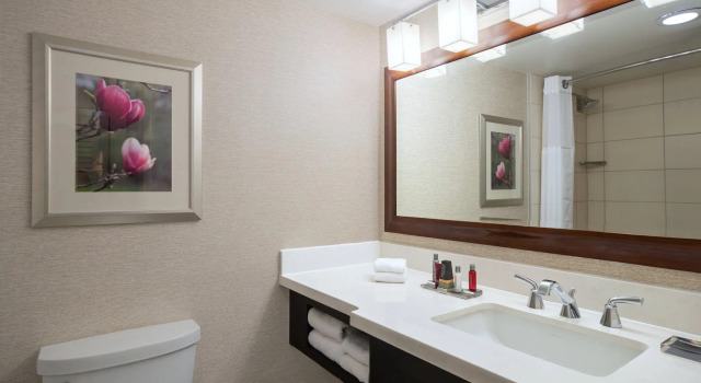 Двухместный номер Standard Atlanta Marriott Perimeter Center