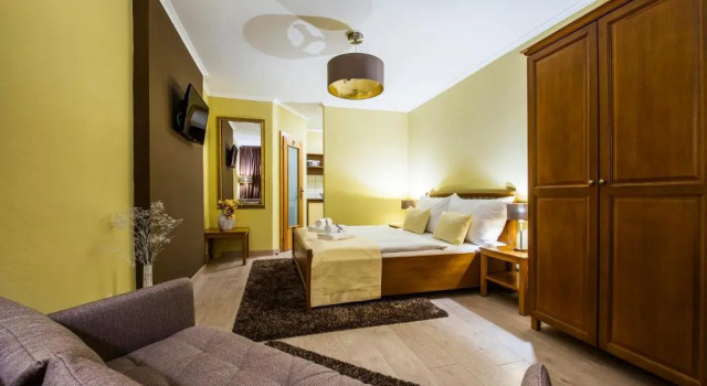 Одноместный номер Standard Wellness Penzión Vila Mery