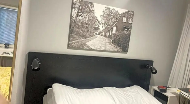 Номер Standard Finlandia Park Hotel Helsinki