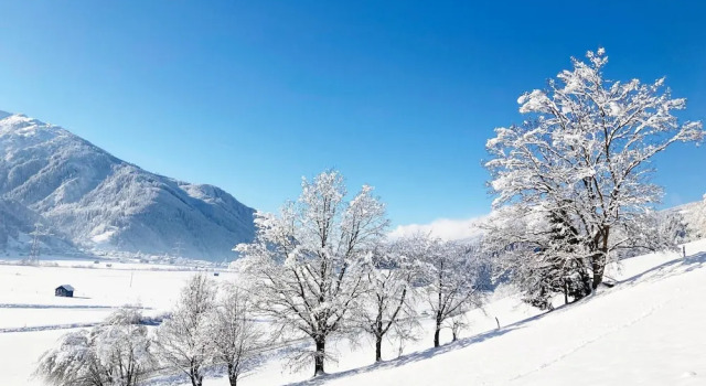 Holiday Apartment in Pinzgau