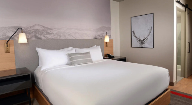 Двухместный номер Standard Hotel Indigo Denver Downtown - Union Station by IHG