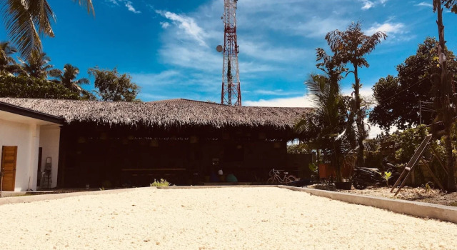 MAAYONG HOSTEL, Book Hostel Moalboal Cebu