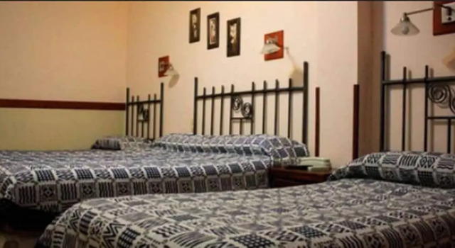 Номер Standard Hotel Los Sauces