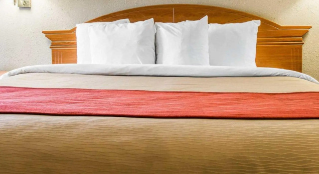 Номер Standard Quality Inn and Suites Airport