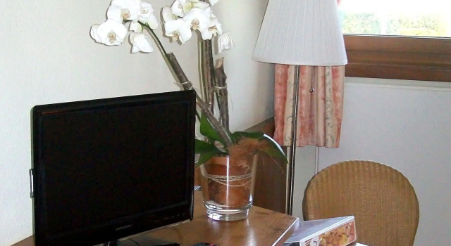Hotel Brasserie Beierhaascht