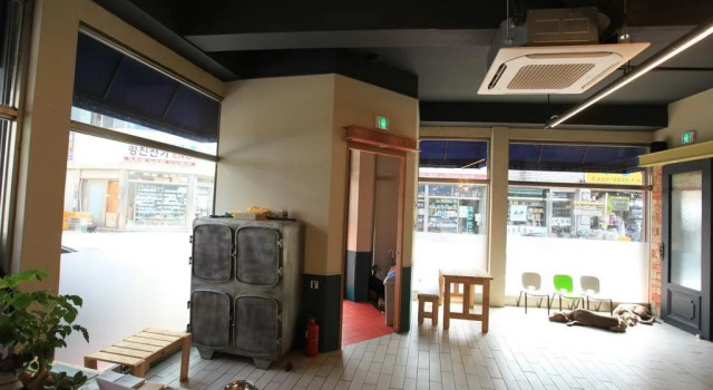 Quartz Hostel, Rezerwuj Hostel Hostele w Taegu, w pobliżu Daegu Station, Hostel