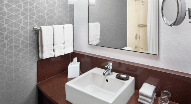 Двухместный номер Standard с видом на город Le Meridien Arlington