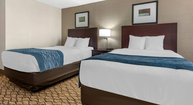 Четырёхместный номер Standard Comfort Inn & Suites Glen Mills - West Chester