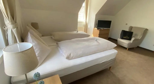 Двухместный номер Economy Hotel Dienstl Gut