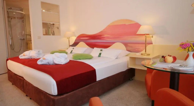 Двухместный номер Comfort Hotel & SPA Sommerfeld