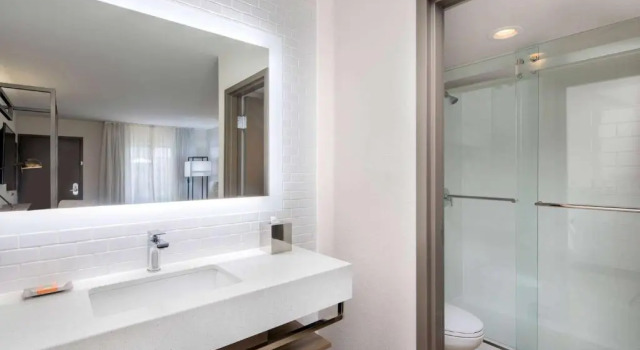 Номер Deluxe Wyndham Garden Marietta Atlanta North