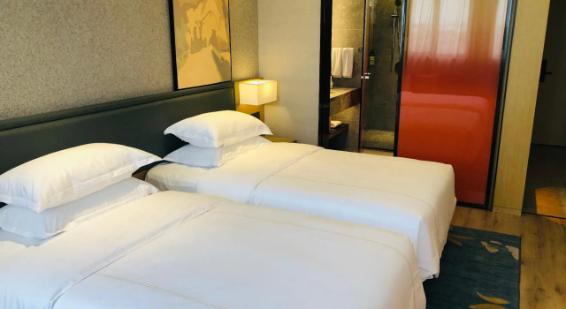 Двухместный номер Business The Hotel V Nanjing Lishui