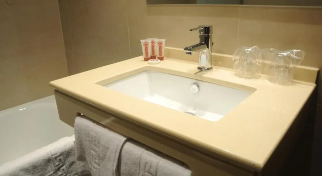 Одноместный номер Standard Hotel Venecia